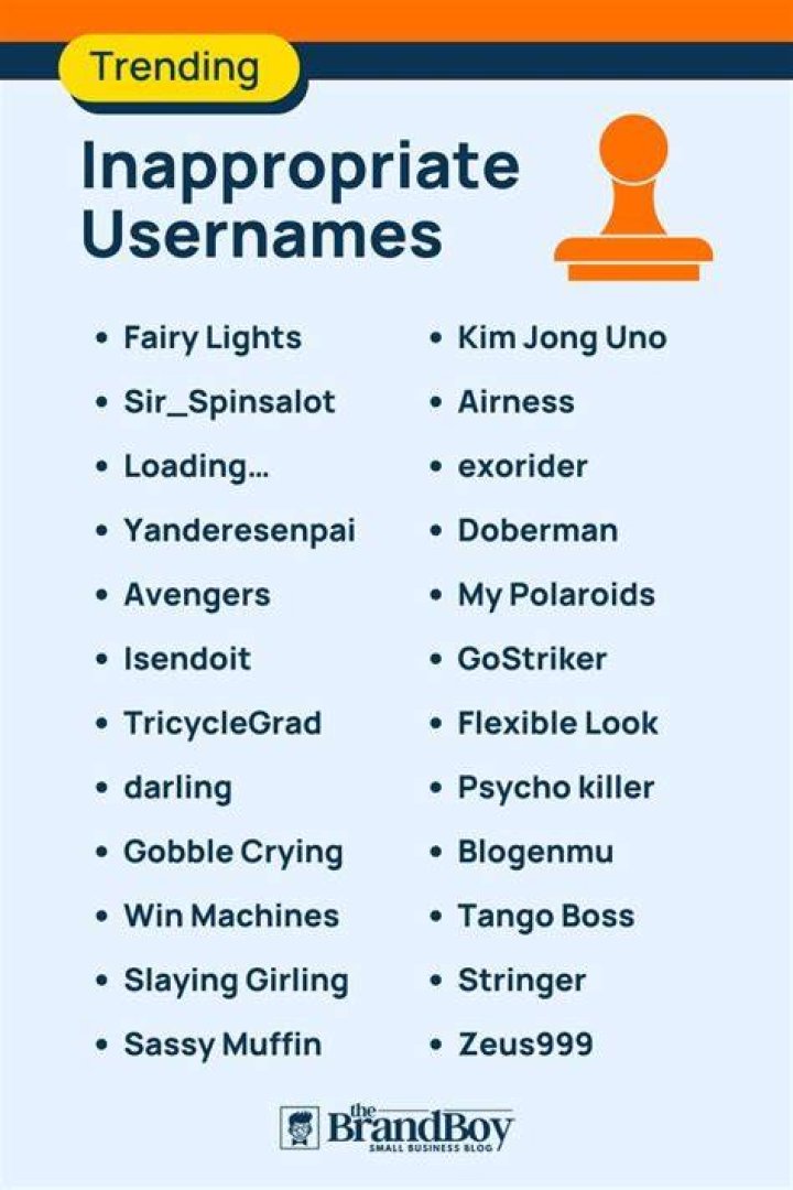 800+ Inappropriate Usernames Ideas With Generator BrandBoy