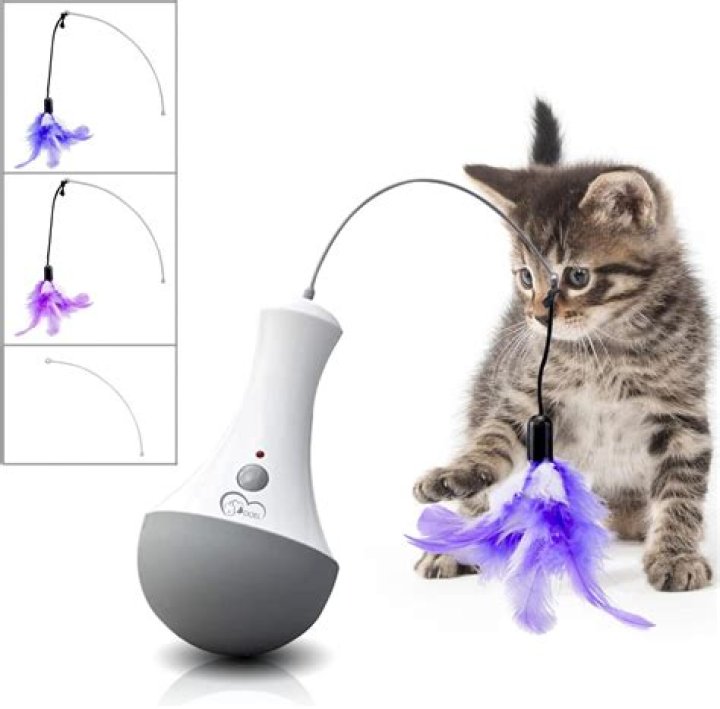 cat toys