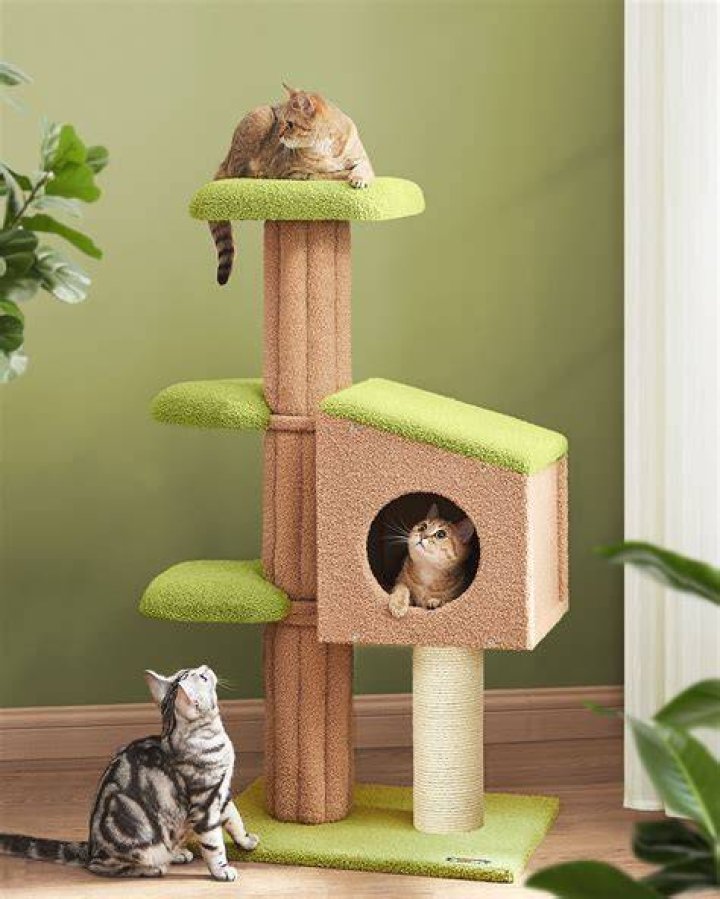 cat tree