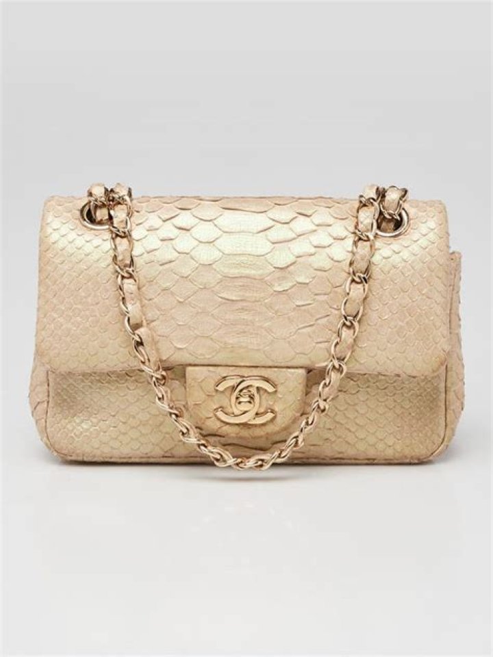Chanel python 2.55 bag