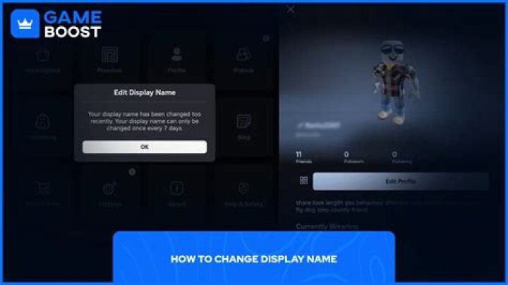 enter your new display name in the display name optional field enter your new display name in the display name optional field