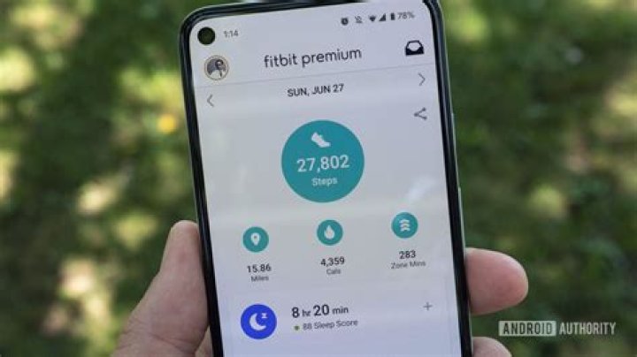 fitbit luxe review fitbit app daily stats steps fitbit luxe review fitbit app daily stats steps
