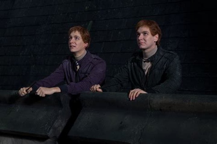 Fred &amp; George Weasley - Fan Art - Harry Potter 