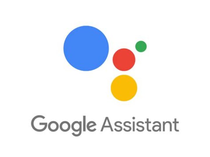 Google Assistant logo.