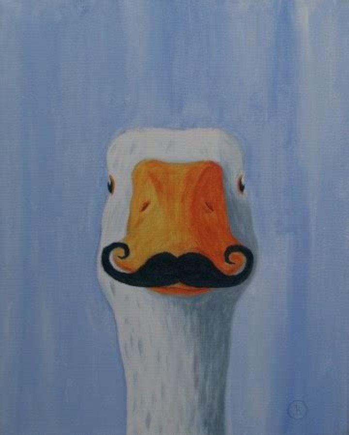 Goose Moustache