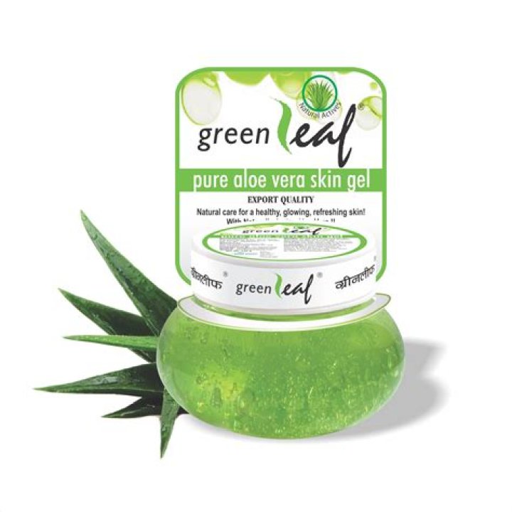 Green Leaf aloe vera