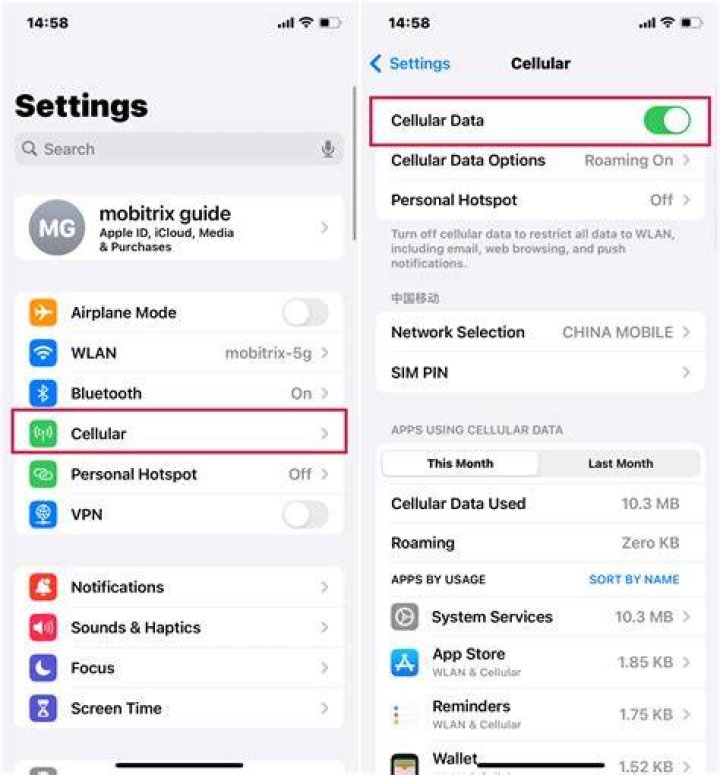 ios iphone 13 mobile data options