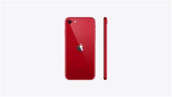 iPhone SE back crop