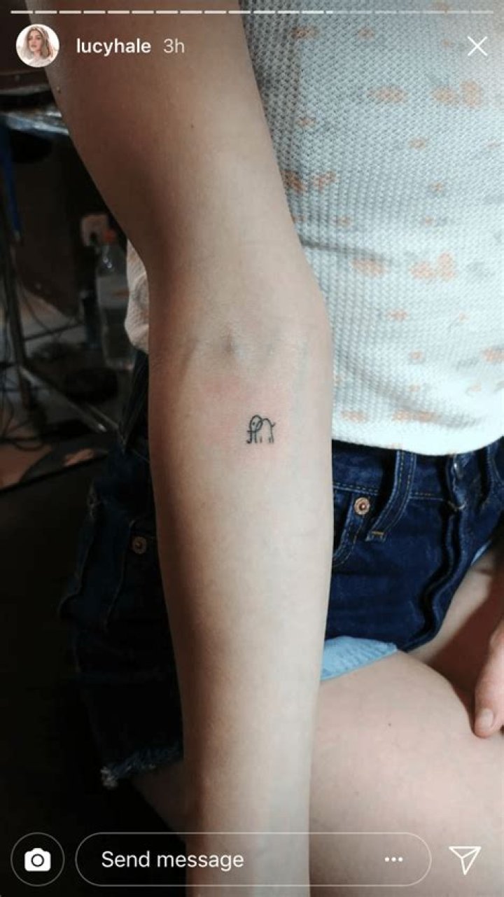 Lucy Hale Tattoos Tiny Elephant on Forearm