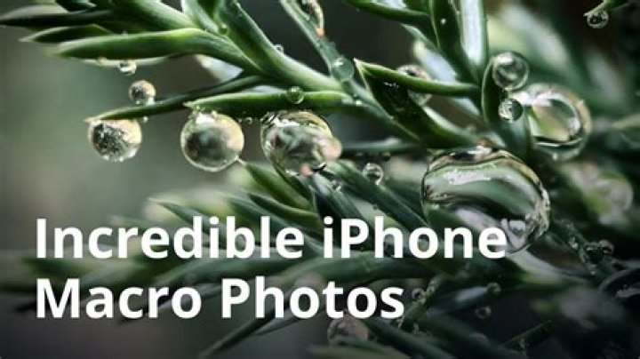 Macro shots sample with Huawei Mate 20 Pro back camera