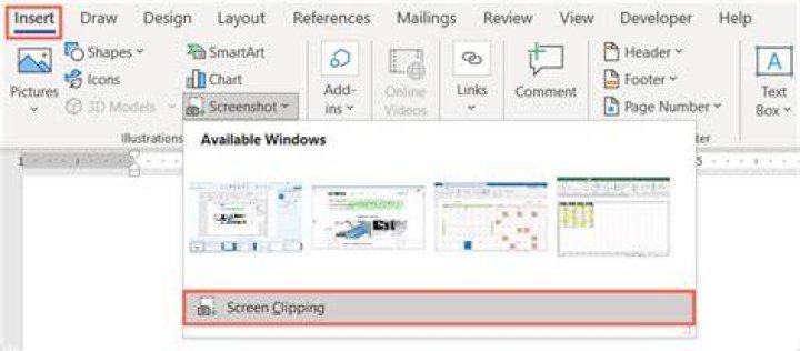 Microsoft Word screenshot 2019 Microsoft Word screenshot
