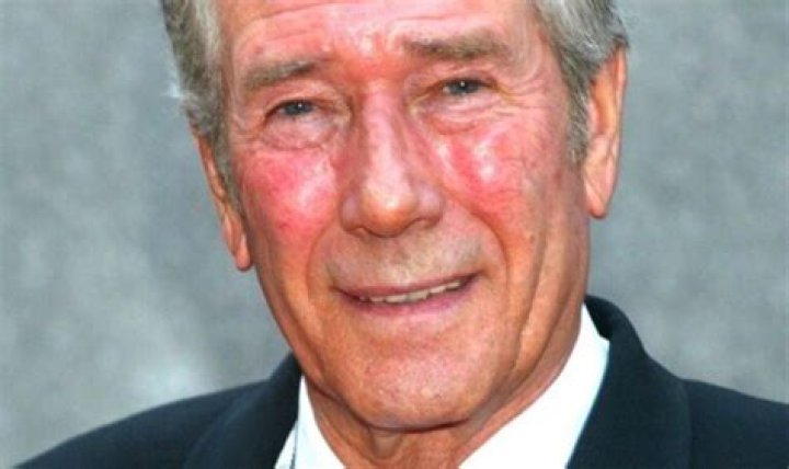 Robert Fuller Net Worth 2024