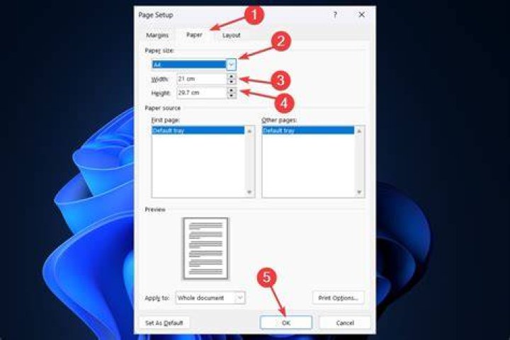 select your desired paper size