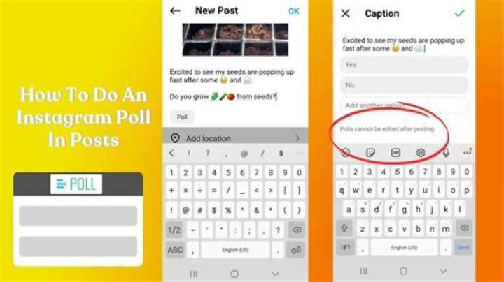 share your poll on your server