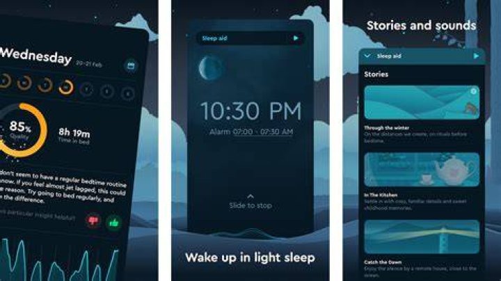 Sleep Cycle Alarm Clock screenshot 2020 Sleep Cycle Alarm Clock screenshot 2020