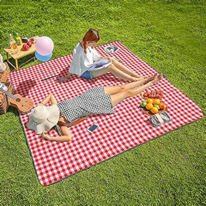 Three Donkeys Machine Washable Extra Large Picnic & Beach Blanket