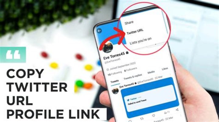 twitter url