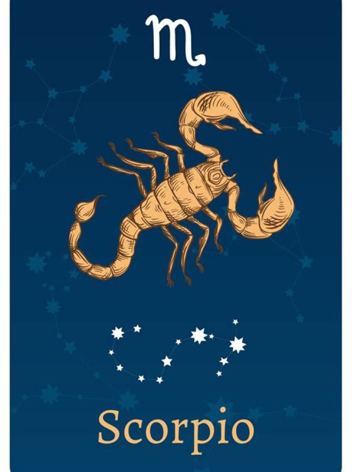 What Does a Scorpio Look Like? Their Physical Appearance, Explained