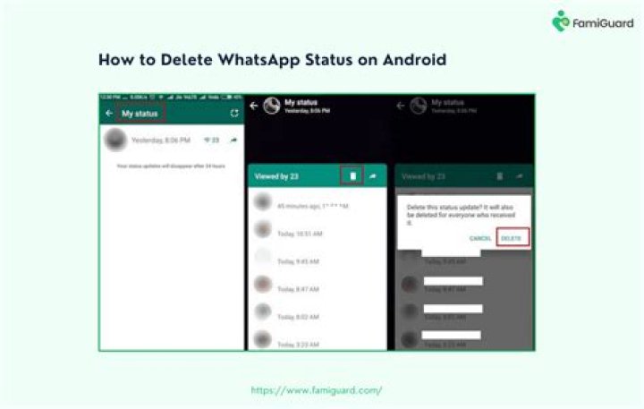 whatsapp mobile delete status